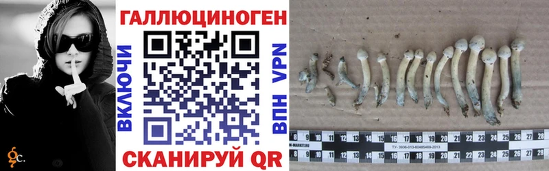 Псилоцибиновые грибы GOLDEN TEACHER  как найти закладки  Щучье 